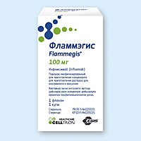 Фламмэгис